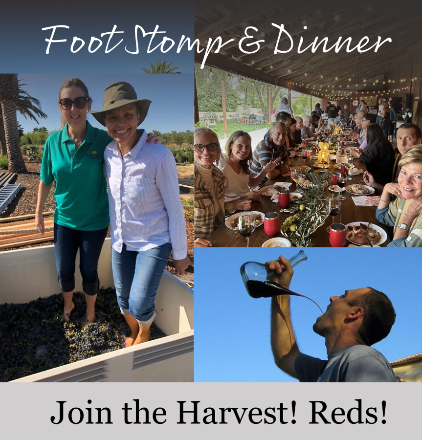 Product Image for October 5, Saturday, 4-8pm - Join the Harvest! Reds! 